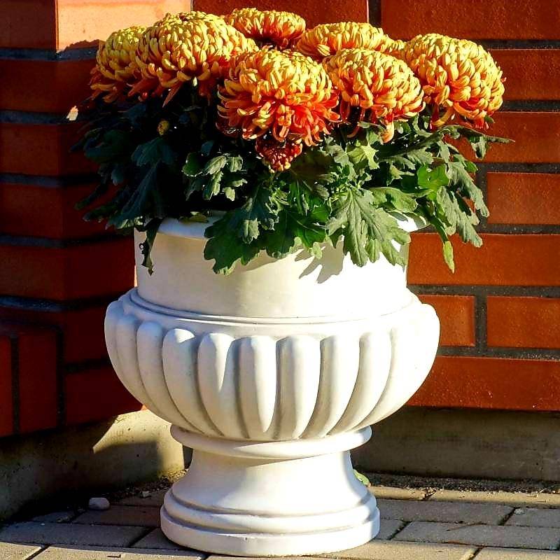 Wazon Bananówka z gładkim pasem