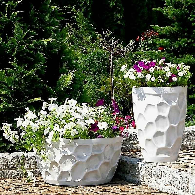 Zestaw Donic w Żółwi Wzorek (wysoka i niska) - 2szt